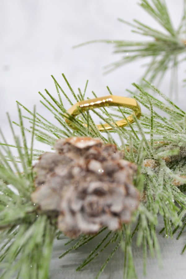James Collection 14K Gold Plate Faceted Shank Brightly Polished Ring