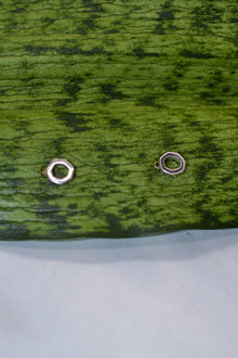 Corinthians Collection White Rhodium Plate 7-Sided Petite Stud Earrings