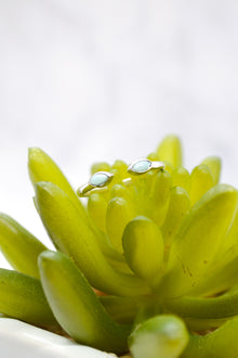 Isaiah Collection White Rhodium Plate Open Shank Double Marquise Amazonite Stack Ring